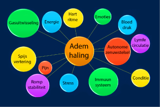 De Ademhaling